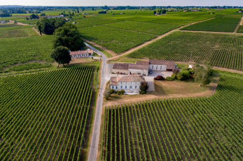 Château Patris — photo 2