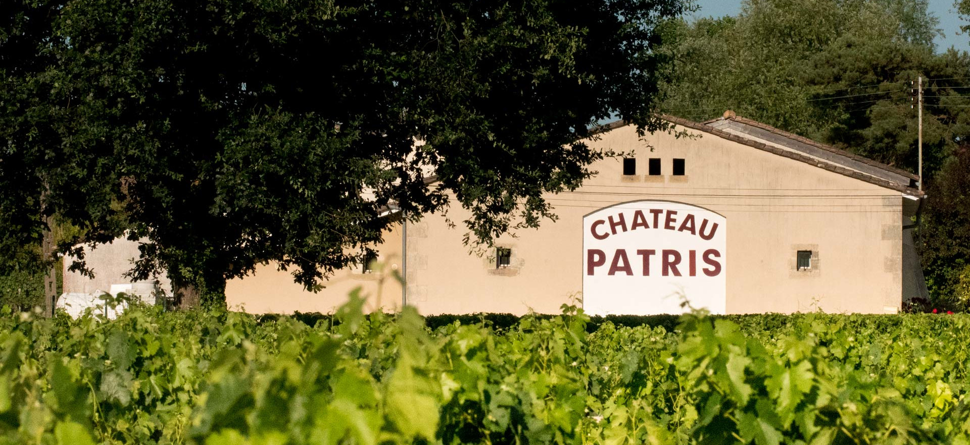 Château Patris — photo 4