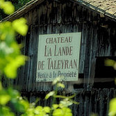 Château La Lande de Taleyran — photo 2