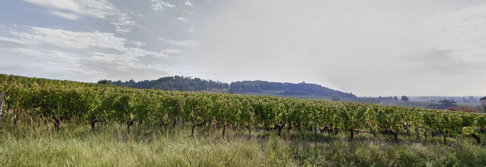 Clos des Baies - Saint-Émilion Grand Cru