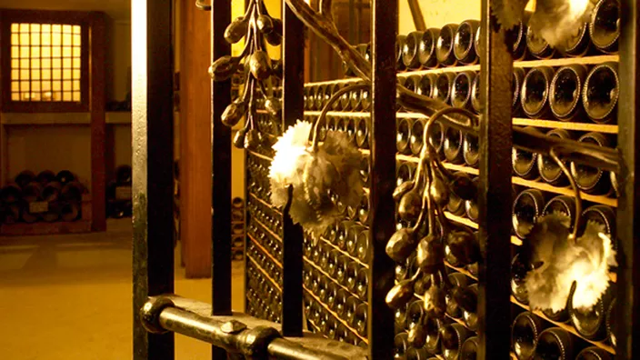 Château Fombrauge — photo 7