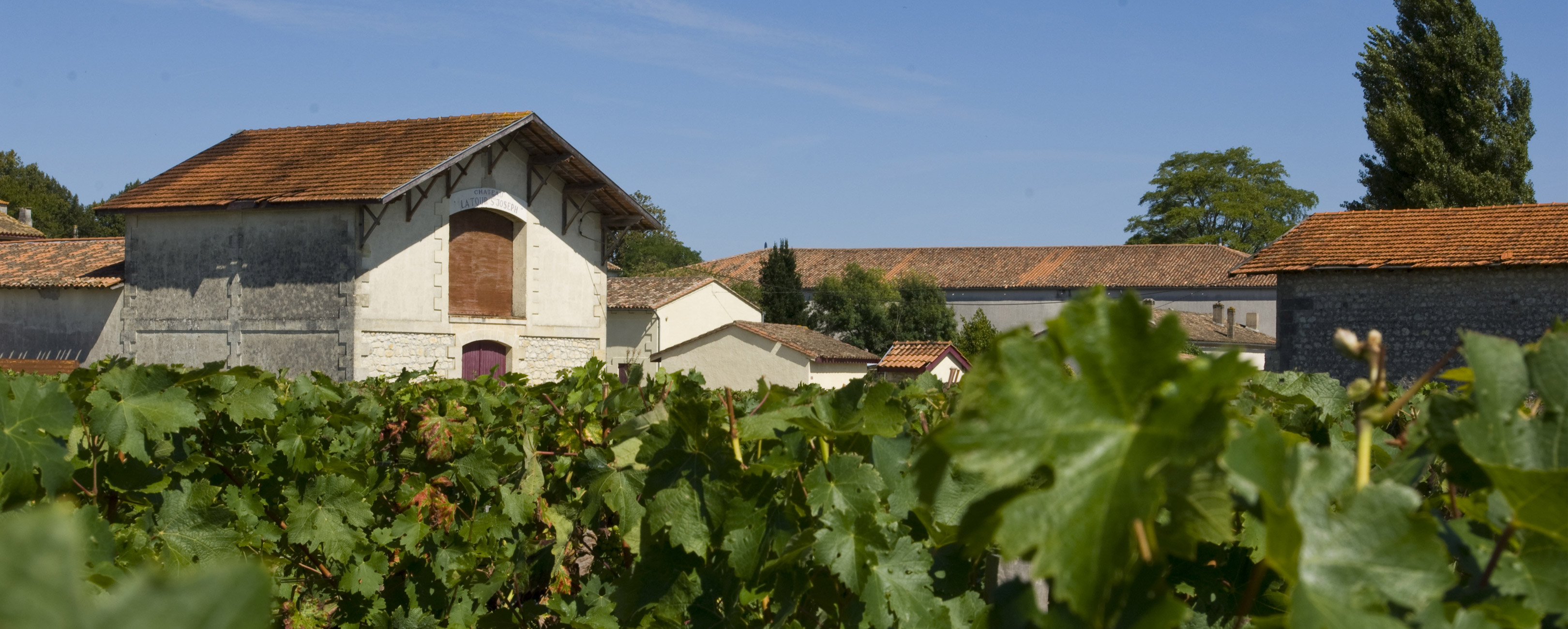 Château Tour St Joseph - Haut-Médoc