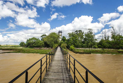 Ile-de-Patiras-et-son-phare©David-Remazeilles-Gironde-Tourisme-1600x1080 1.webp__PID:360aa540-fecb-42c8-9aed-ff95314e64bc