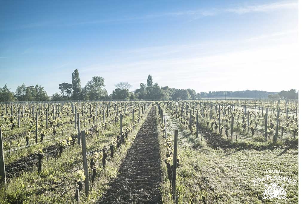 Château Jura Plaisance — photo 6