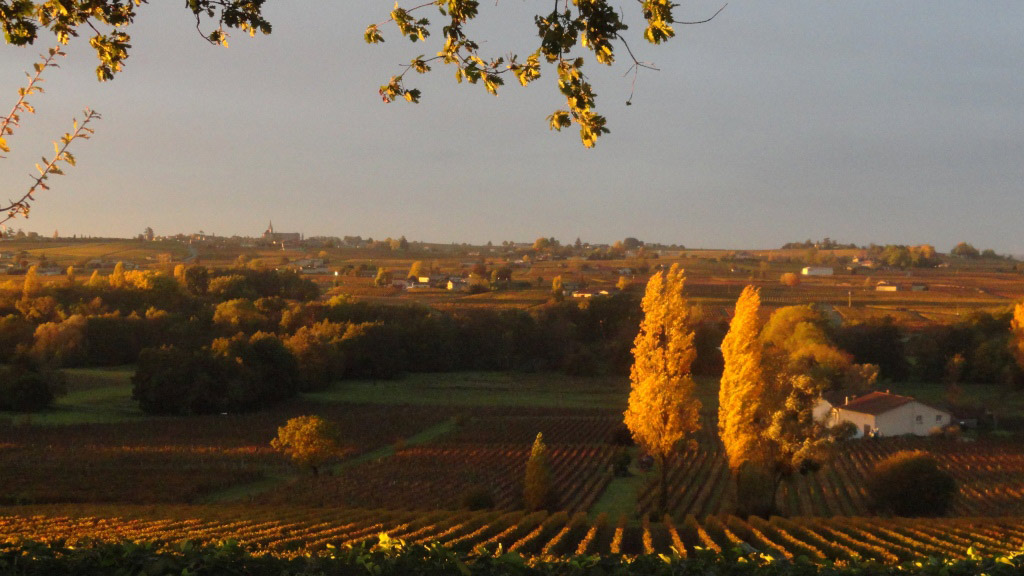 Château Belair Saint-Georges