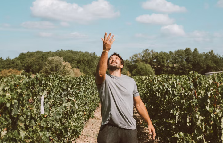 rémi lamerat vigneron rugbyman