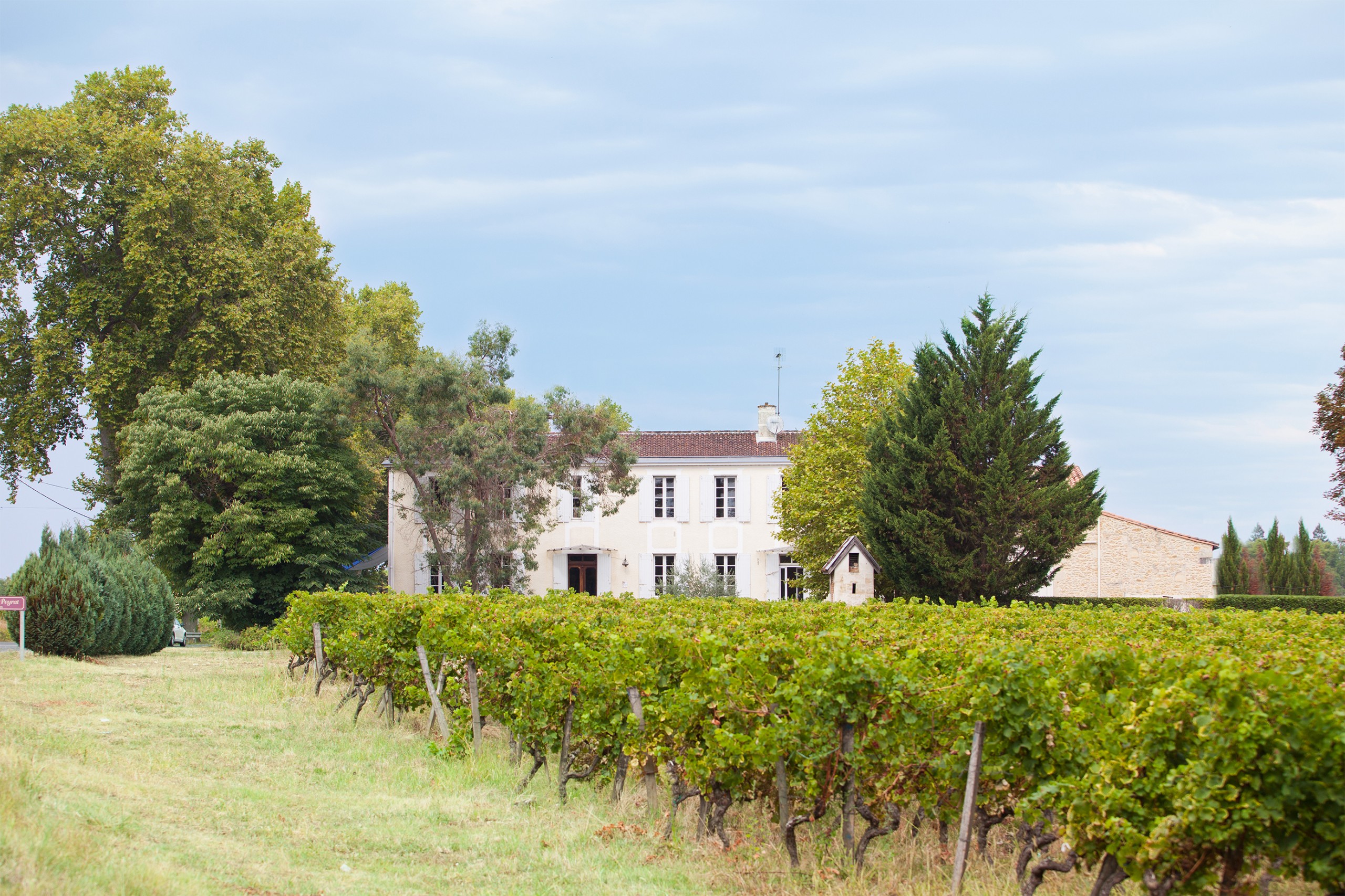 Château Peyrat — photo 2