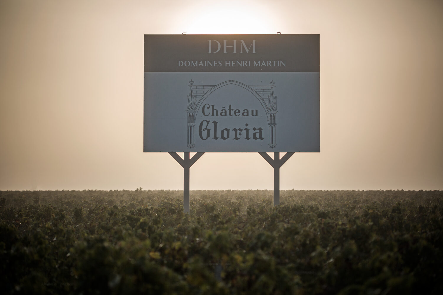 Château Gloria — photo 4