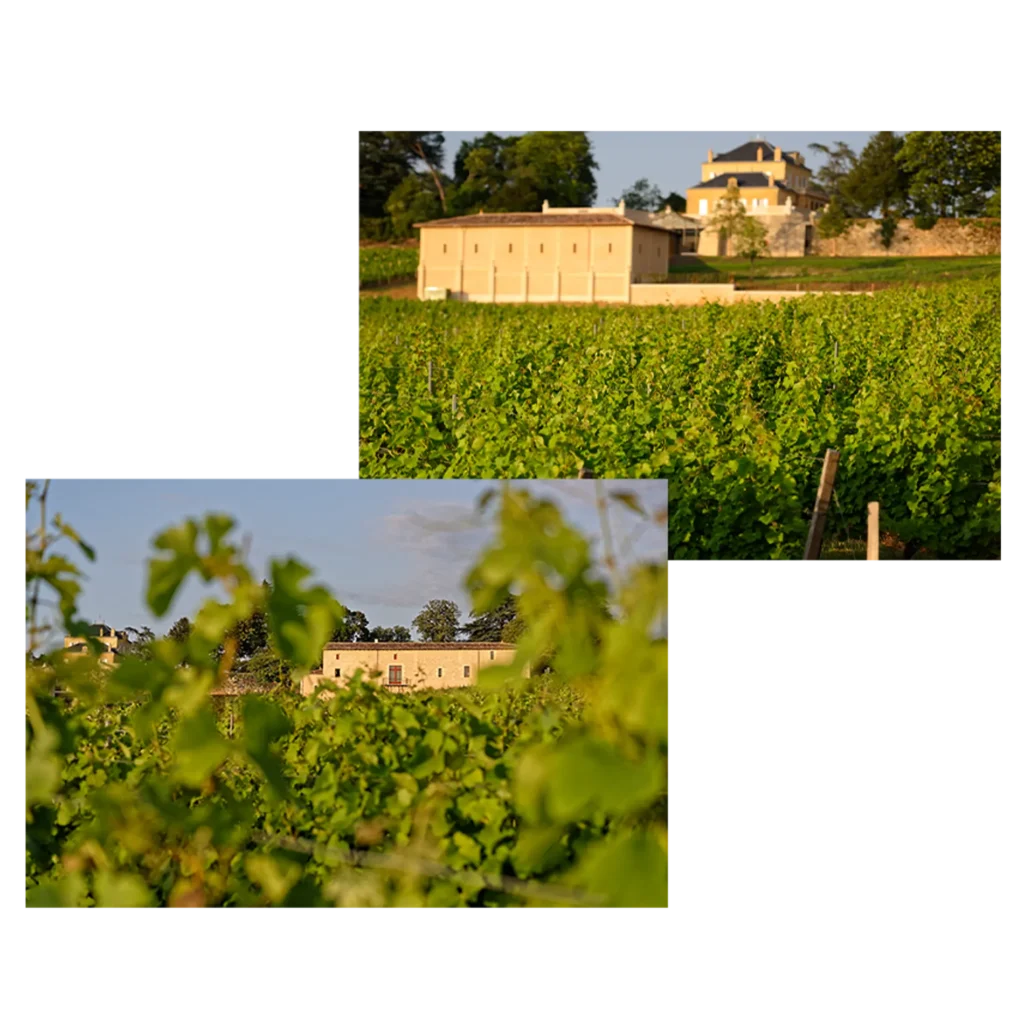 La visite de notre château historique