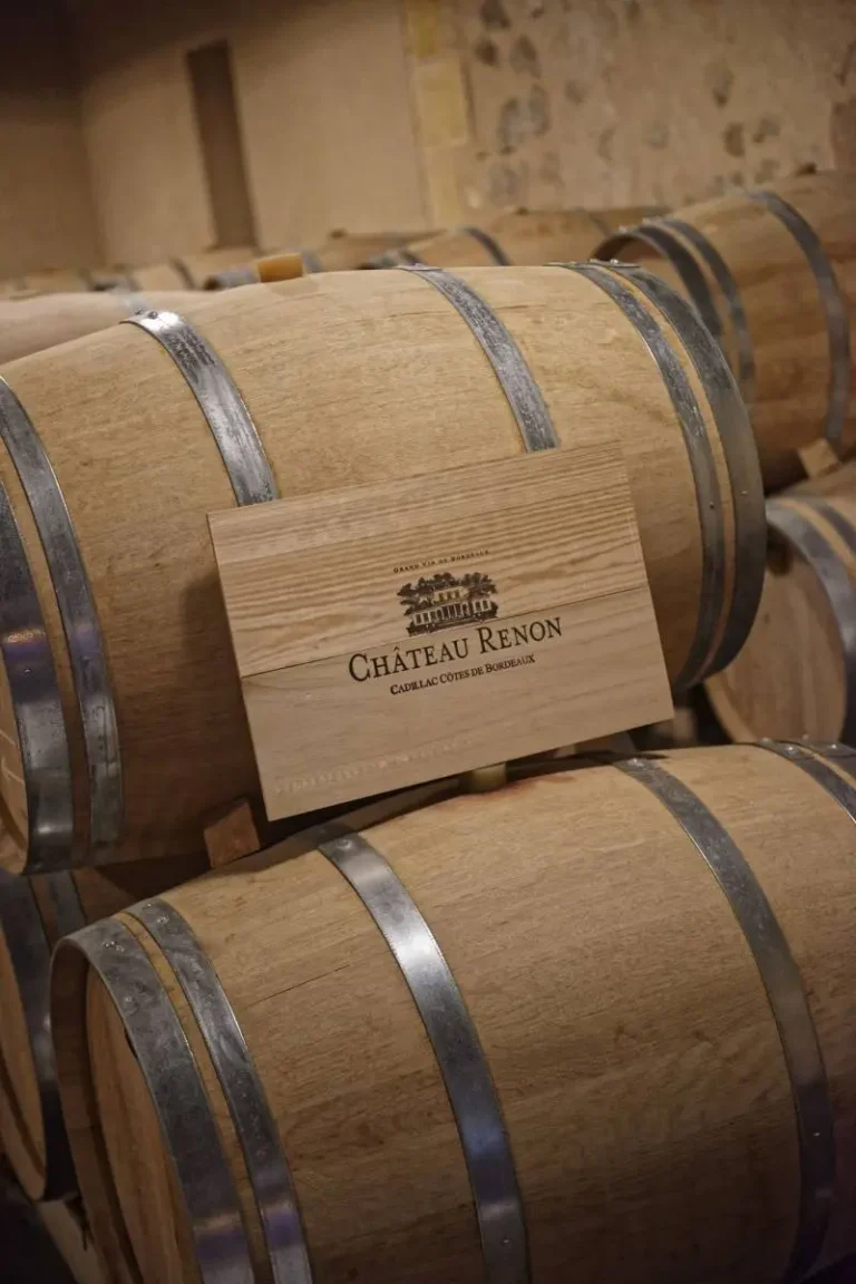 Un domaine en plein coeur des côtes de Cadillac