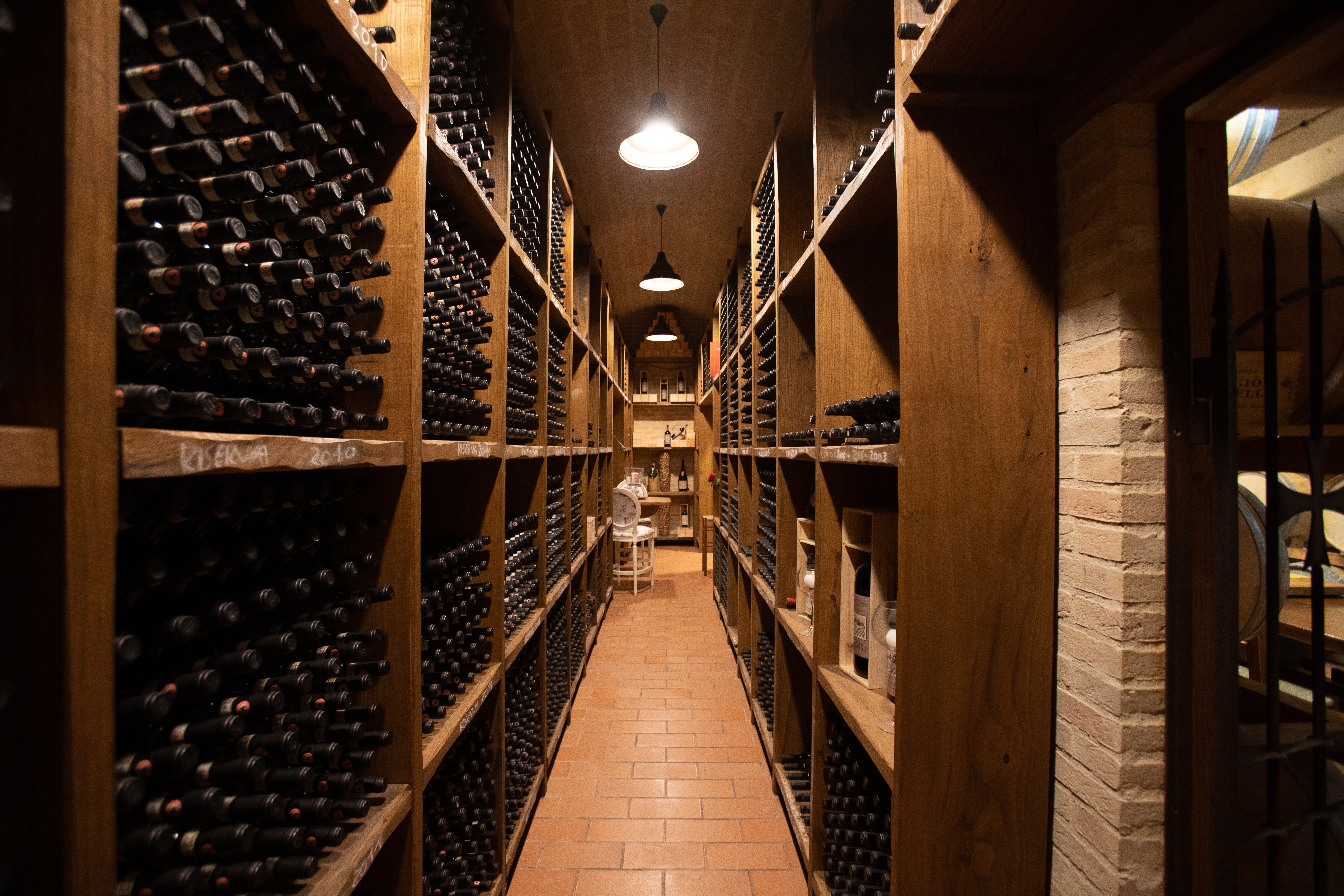 Élégante armoire à vin en bois, abritant une précieuse collection, symbole de passion œnologique et de raffinement.