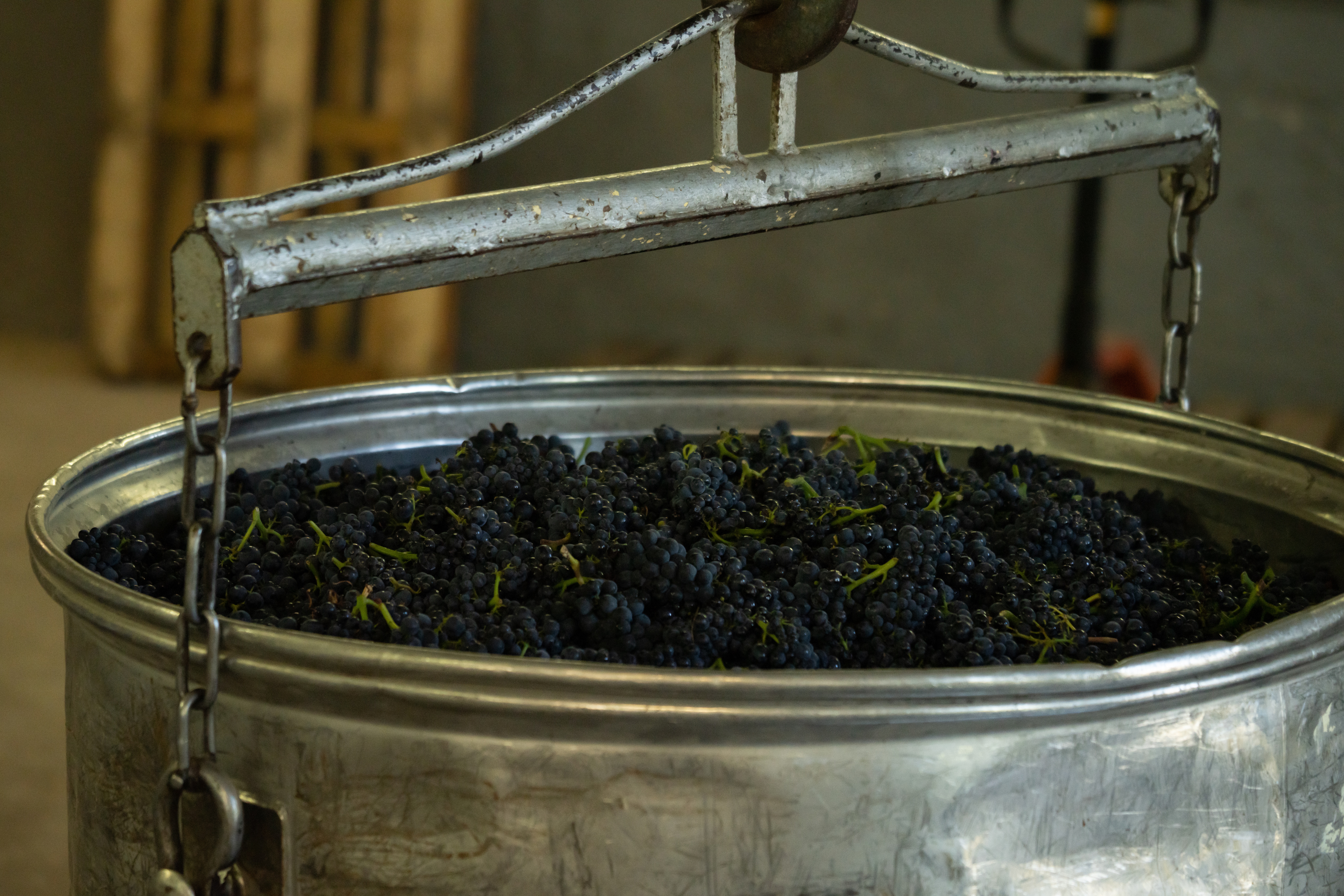 Château Fabris - Pomerol