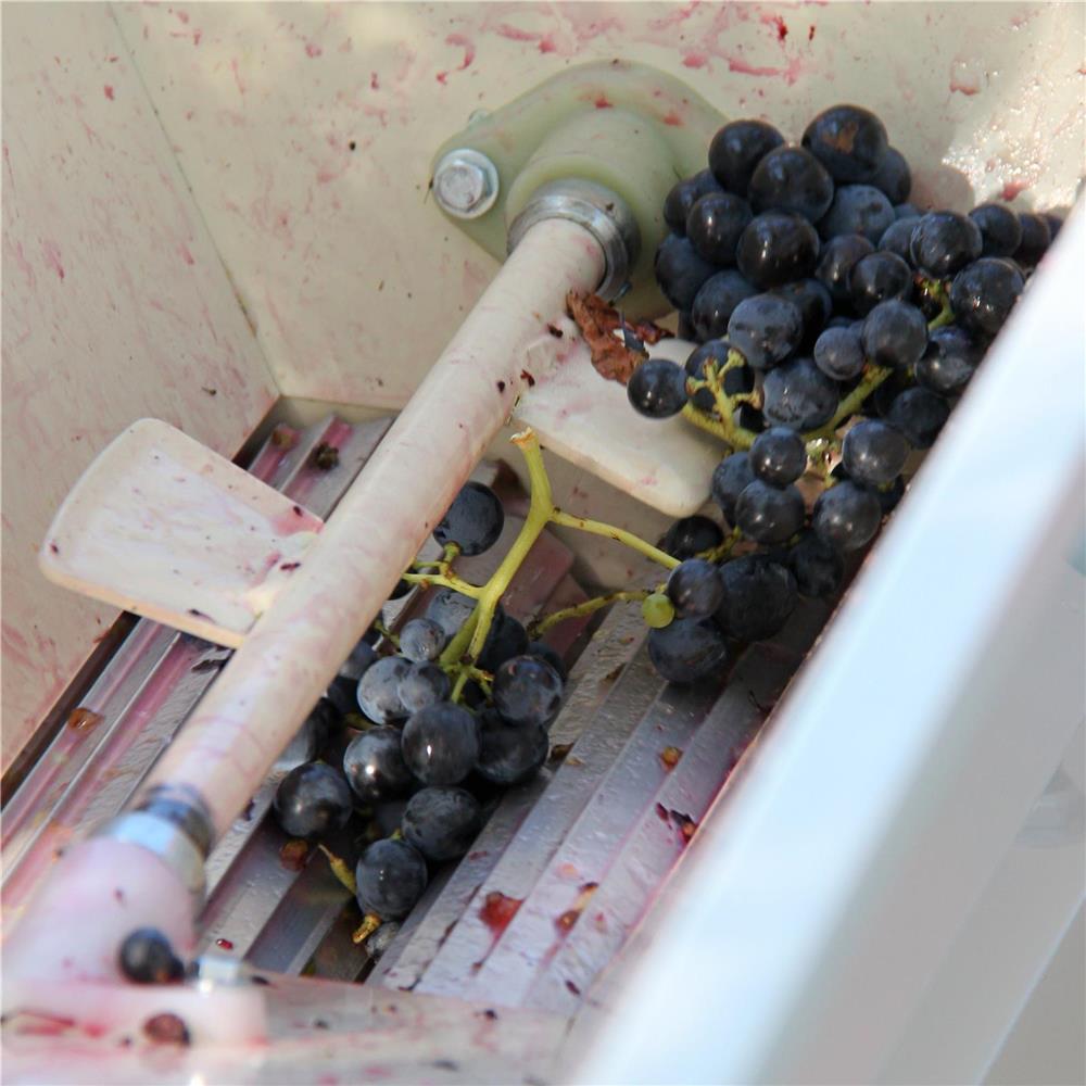 égrappoir mécanique pour séparer le raisin de son superflu