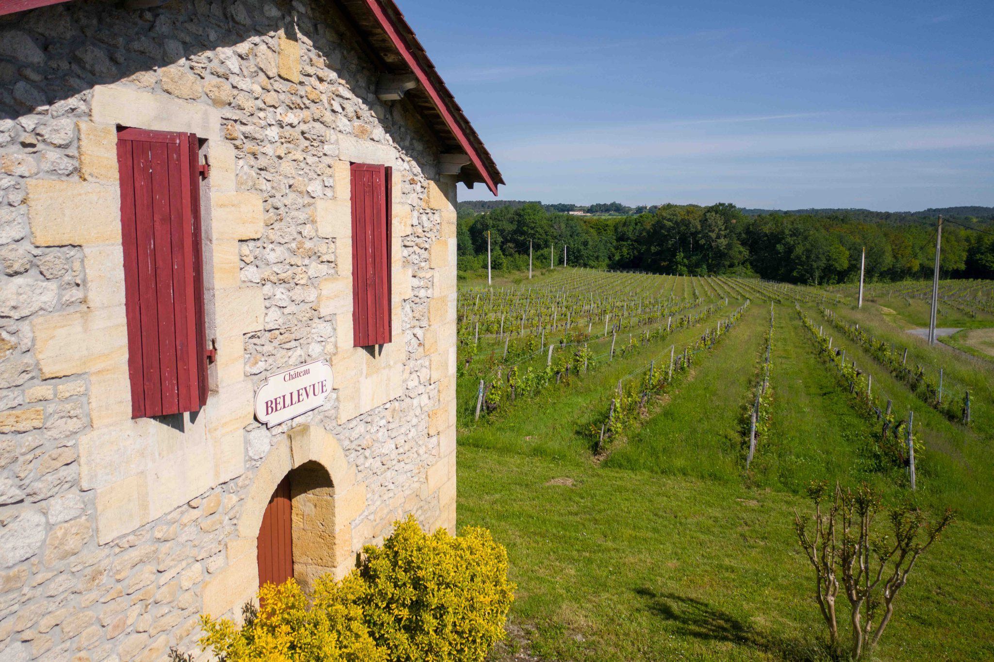 Château Lydoire - Castillon Côtes de Bordeaux