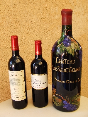 Château Tour Saint Germain — photo 2