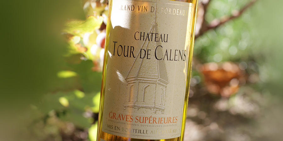 Château Tour de Calens — photo 6