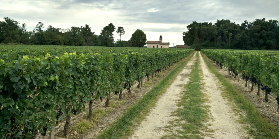 Château Tour de Calens — photo 5