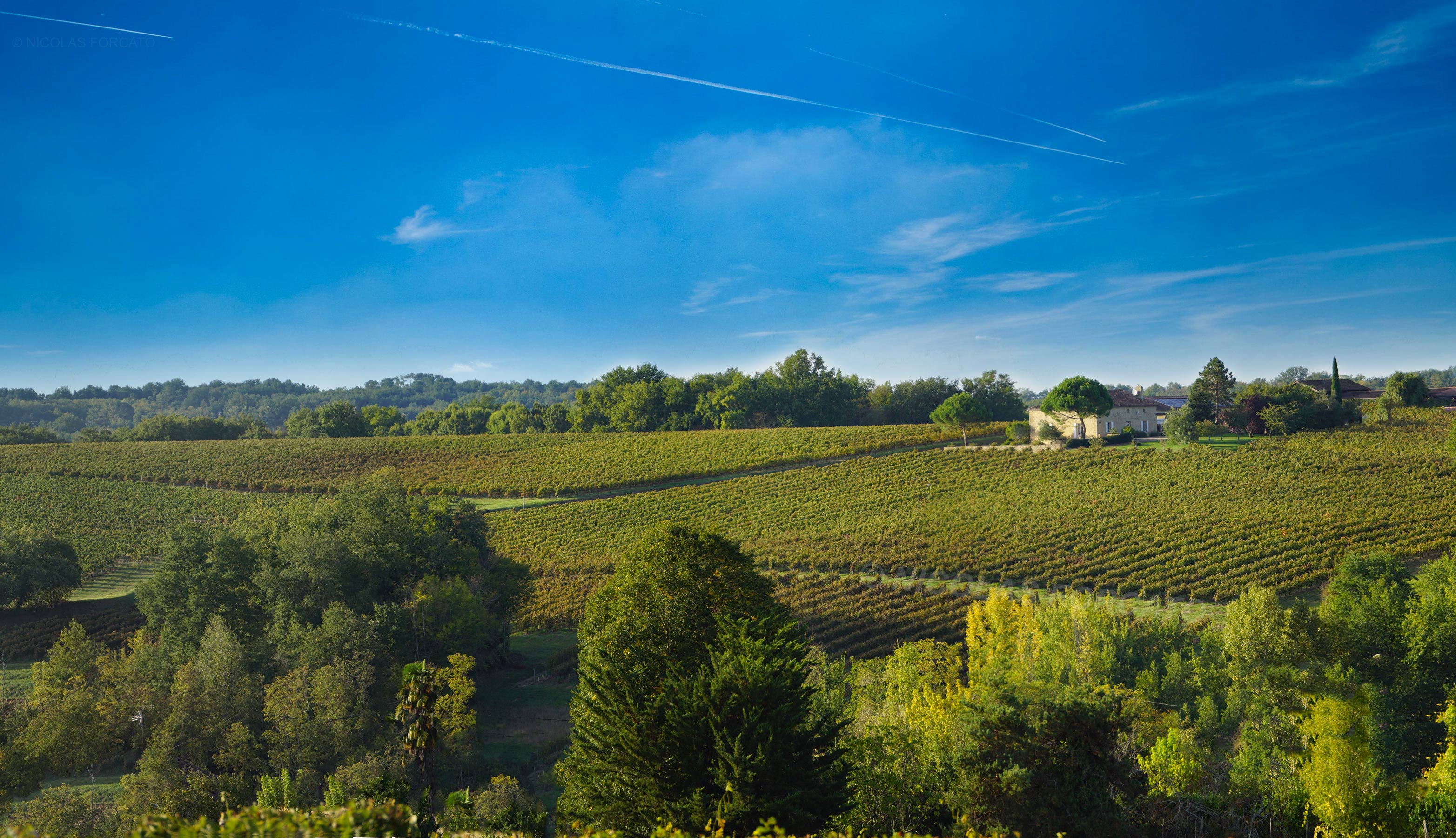 Château Moulin du Terrier - Bordeaux
