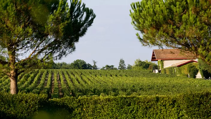 Château Malartic-Lagravière — photo 12