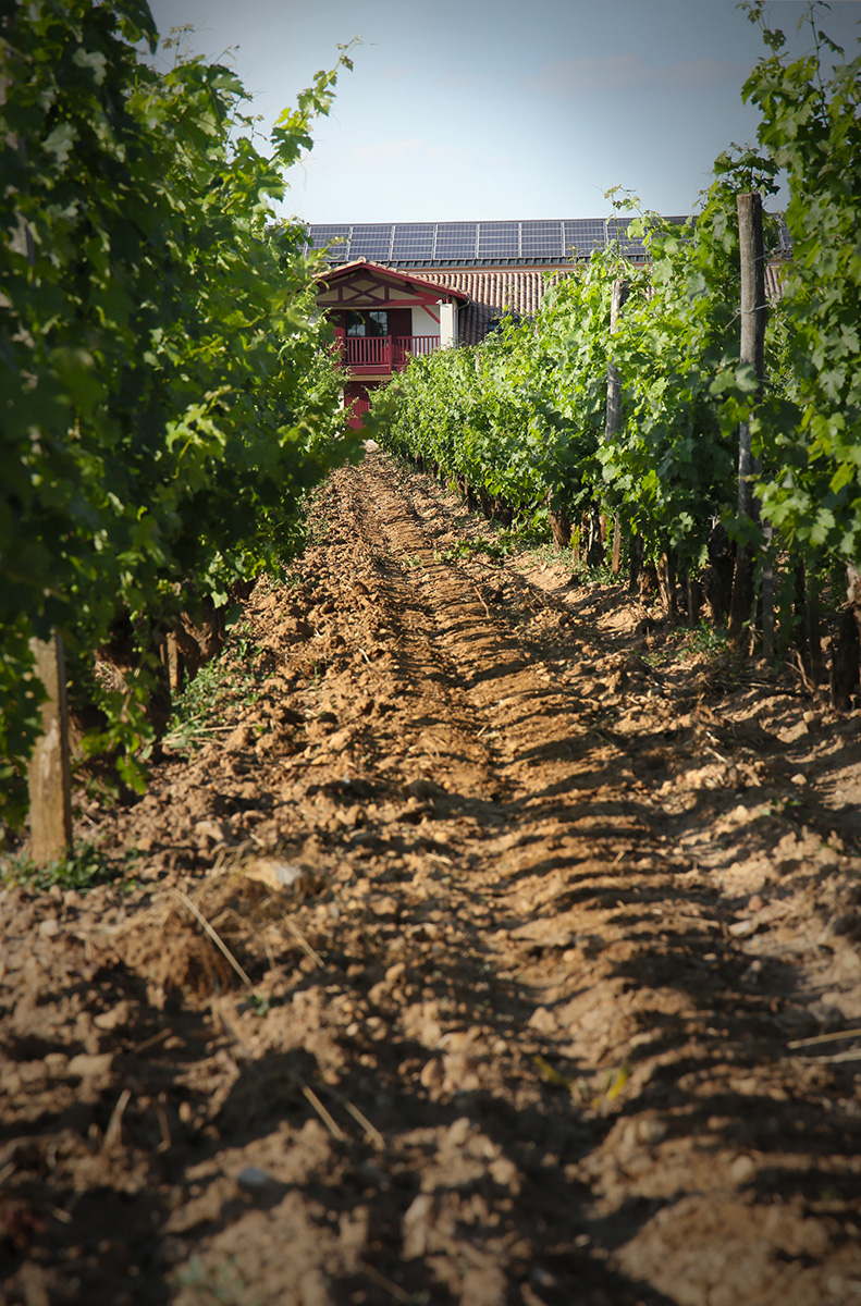 Clos Floridène — photo 3