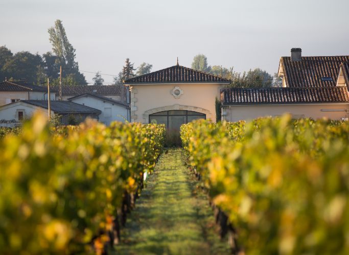 Clos Beauregard — photo 4