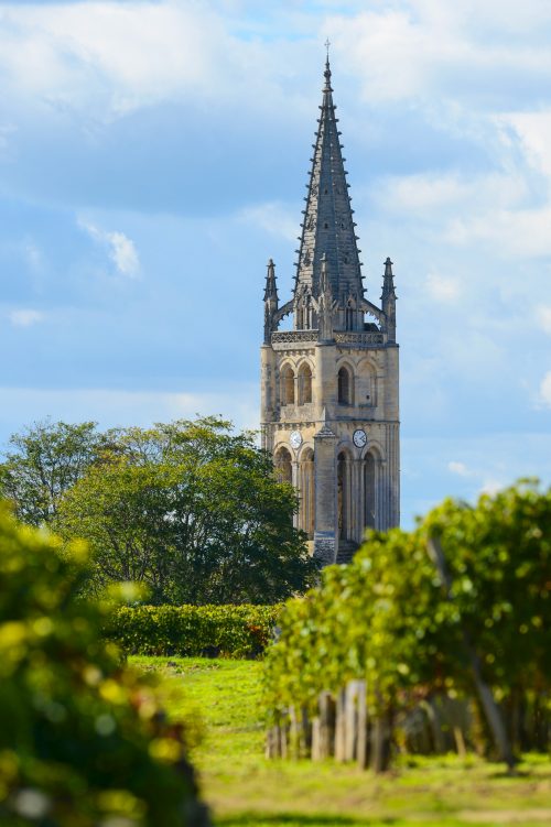 Château Redon — photo 8