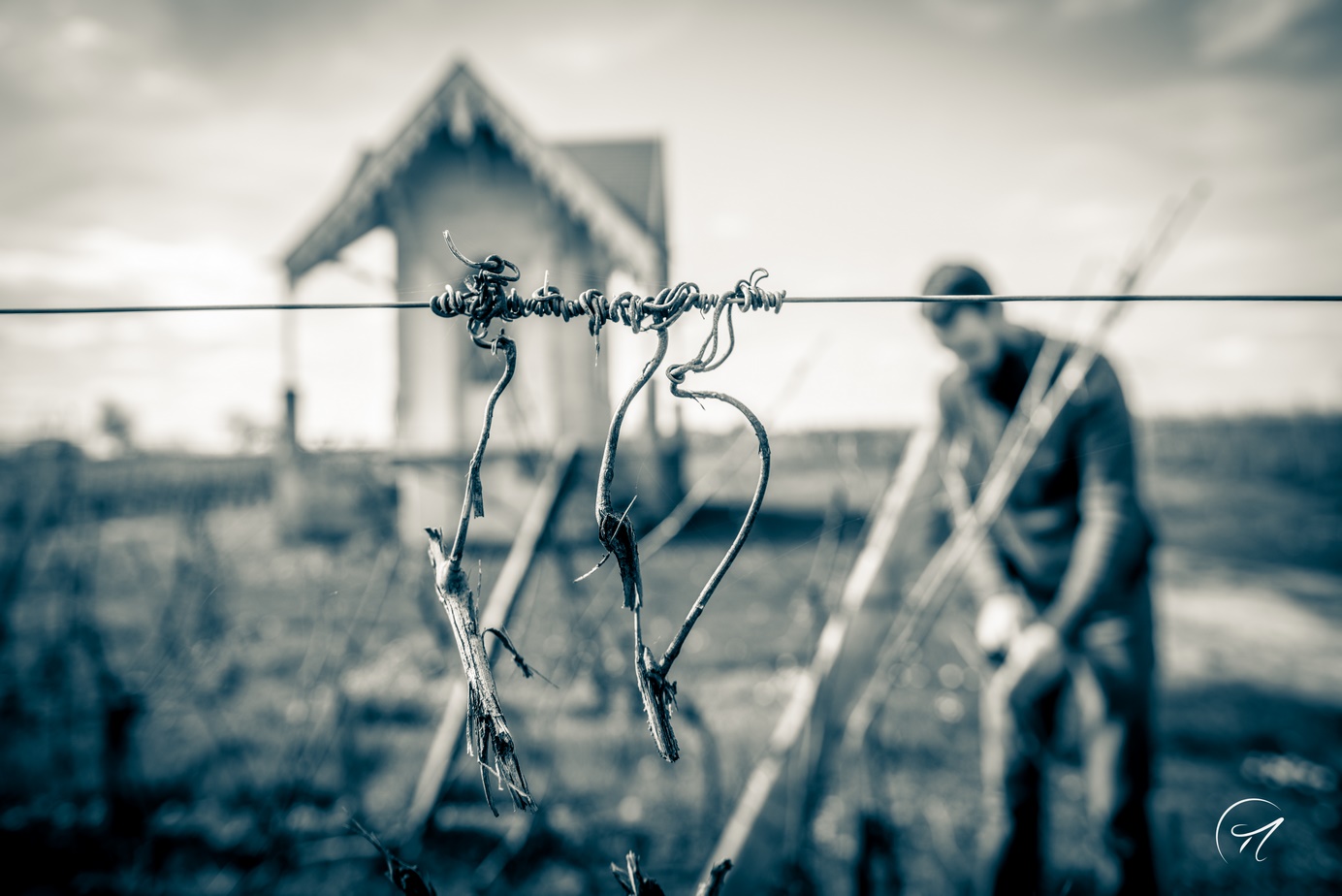 Clos du Notaire - Côtes de Bourg