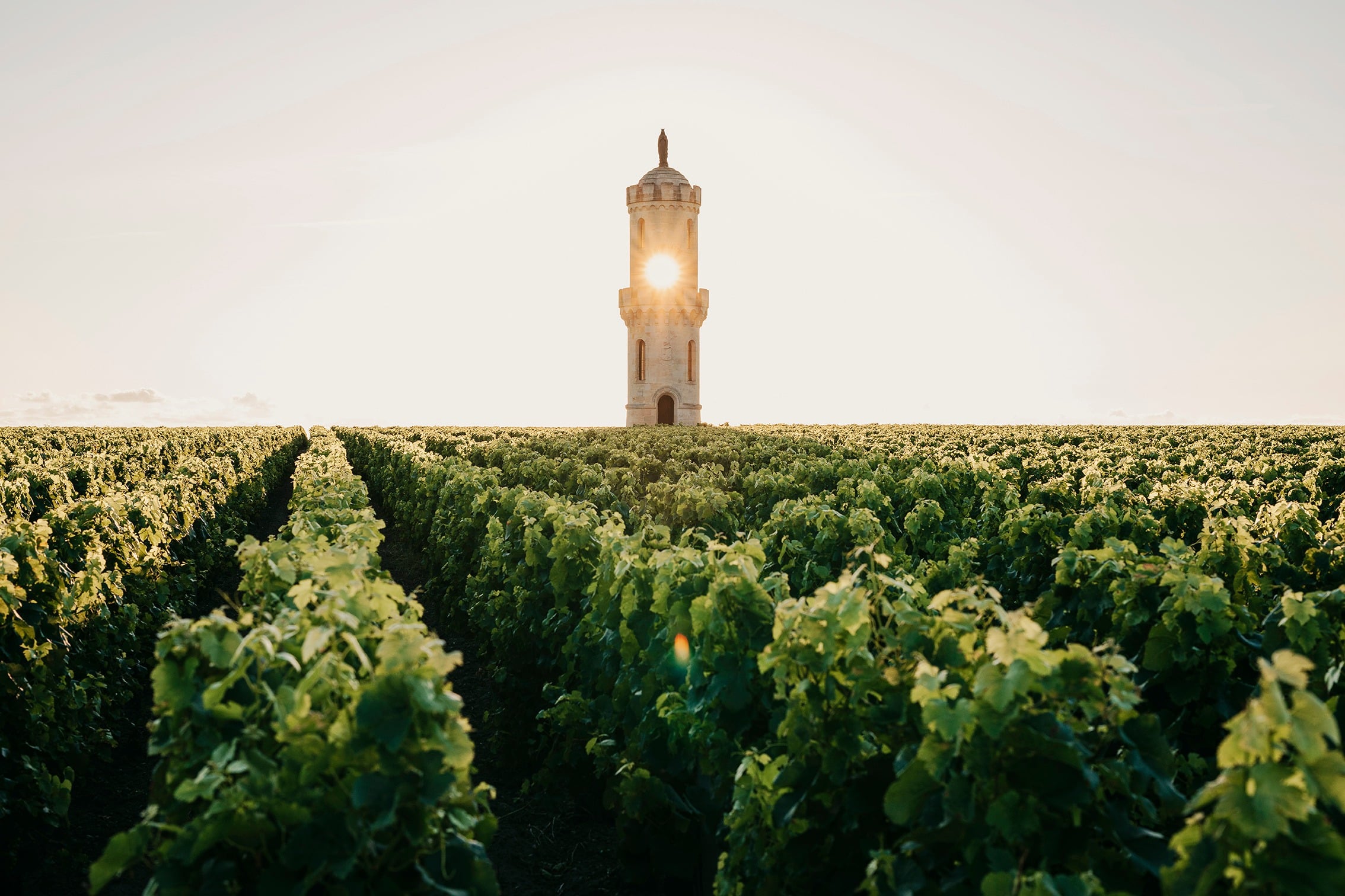 Château Haut-Batailley — photo 6