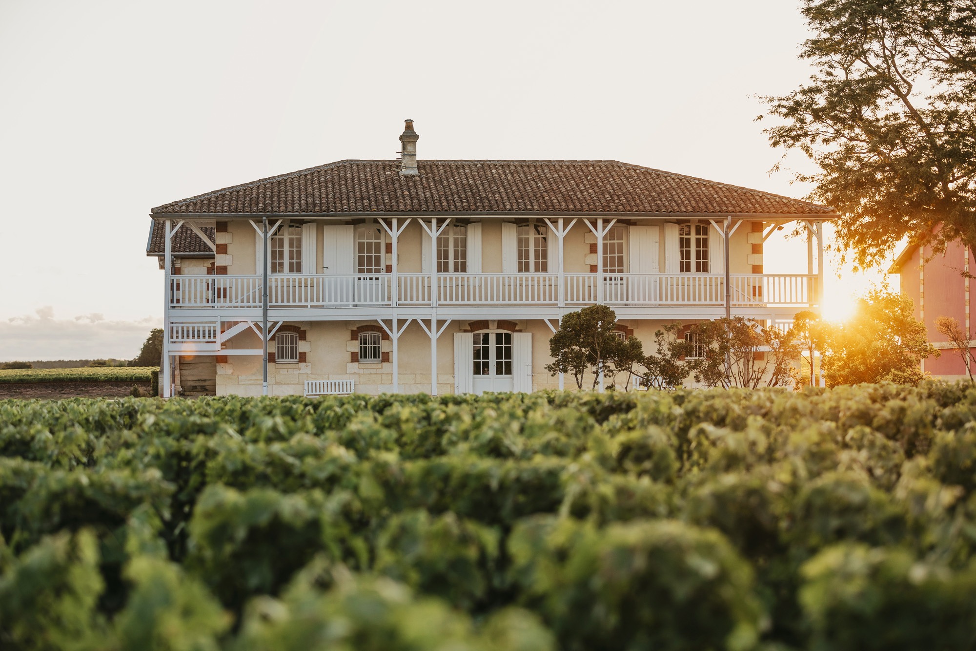 Château Haut-Batailley — photo 8