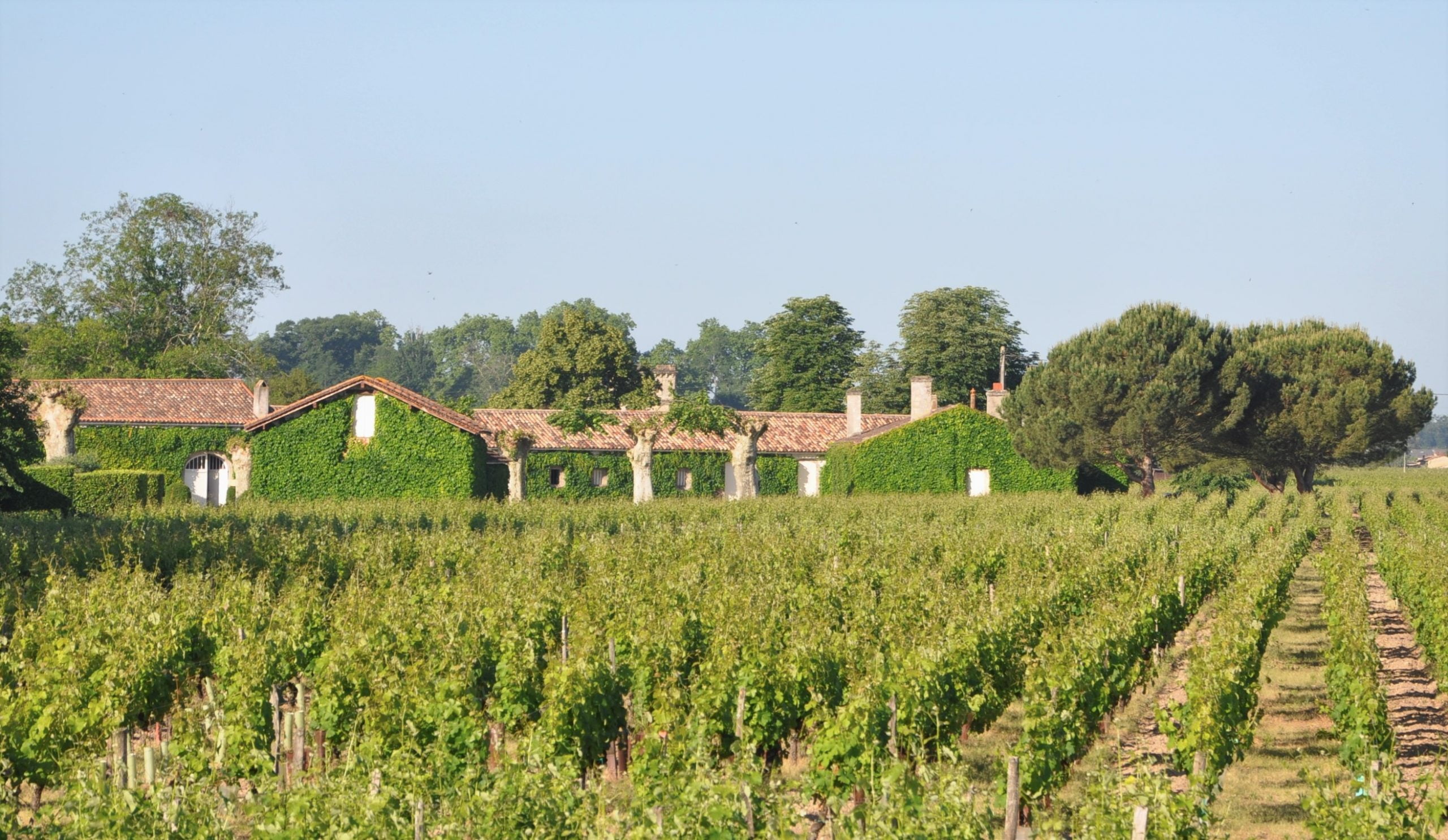 Château Broustet