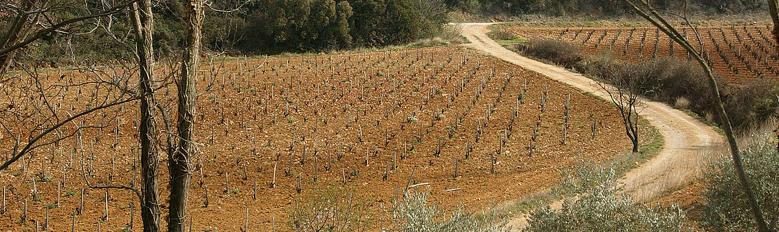 Domaine des Tours