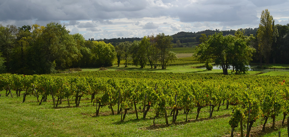Château Haut Gaussens — photo 4