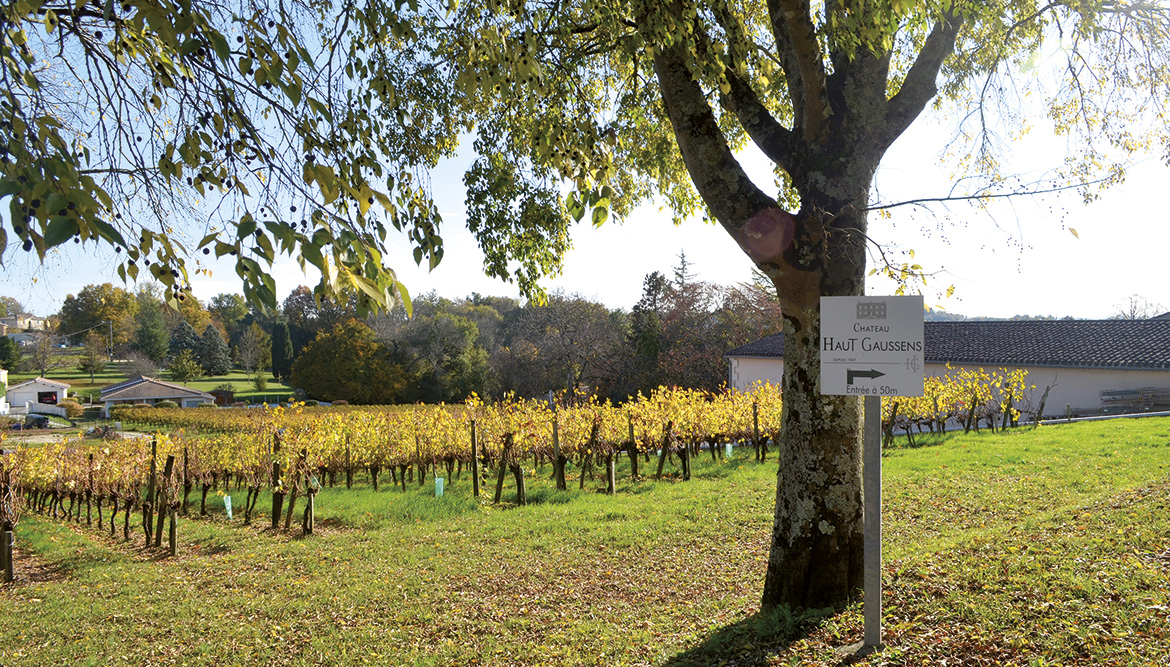 Château Haut Gaussens — photo 9