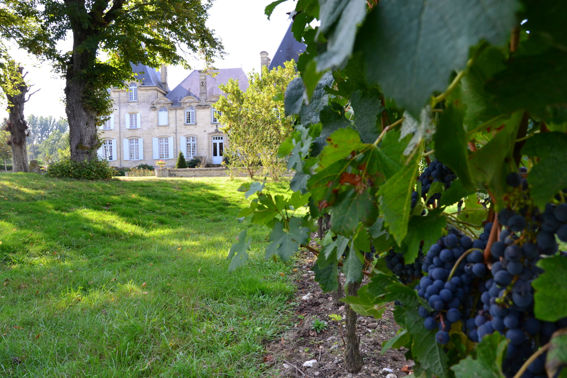 Château de l'Enclos — photo 2