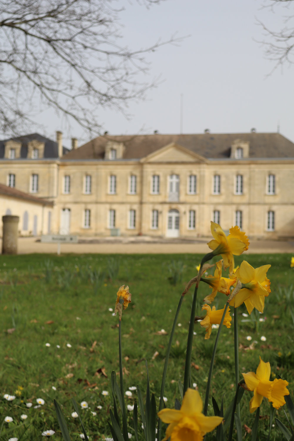 Château Soutard