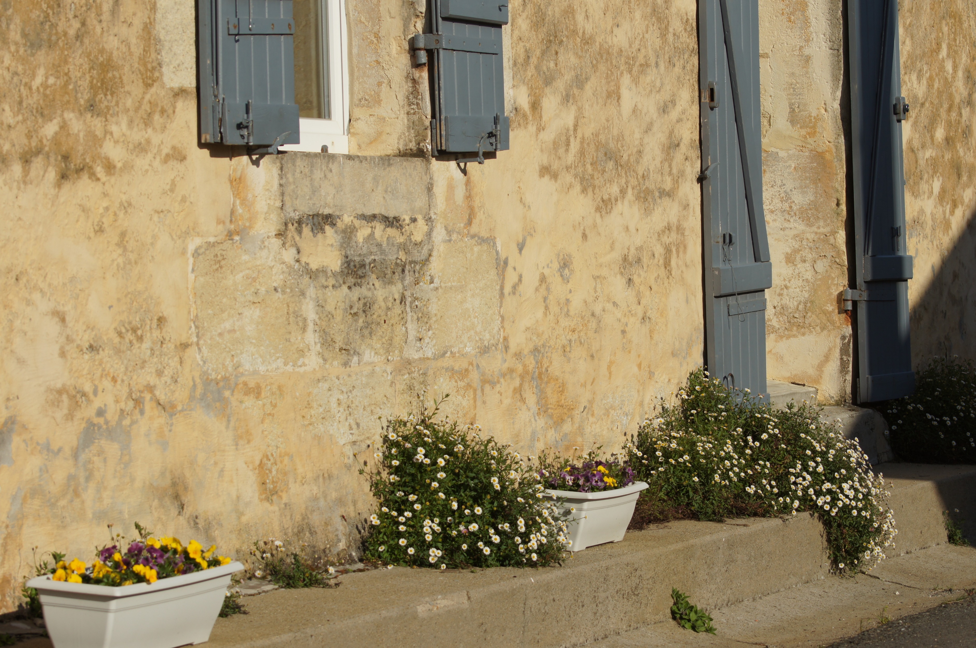 Château Vieille Tour — photo 5