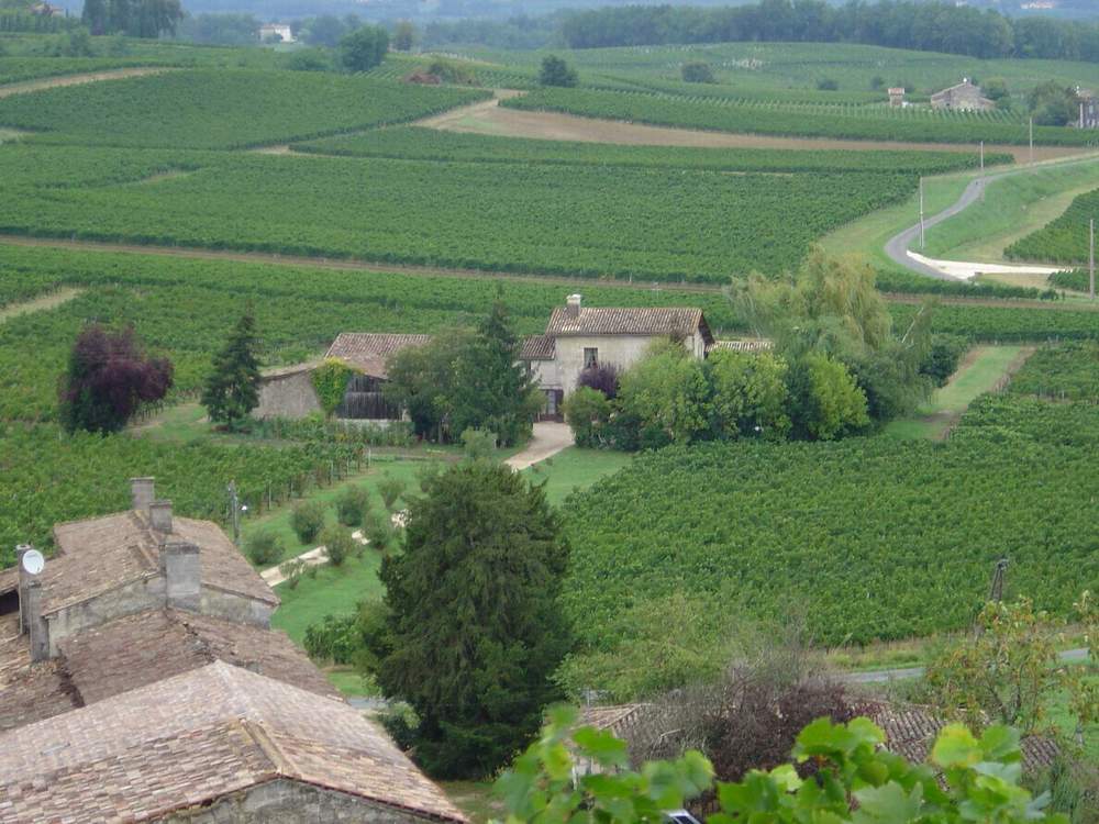 Château Labory — photo 4