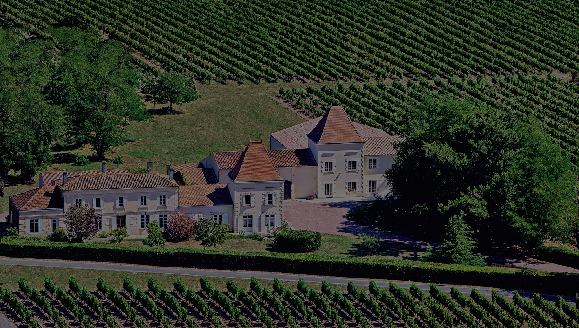 Vignobles Dubois — photo 2