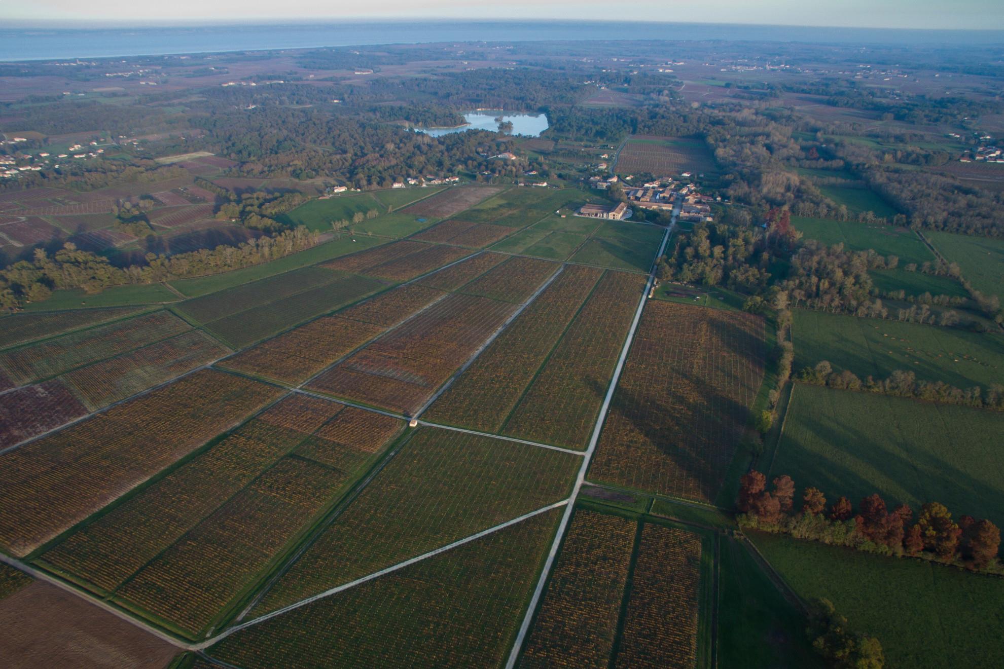 Château Laujac — photo 8