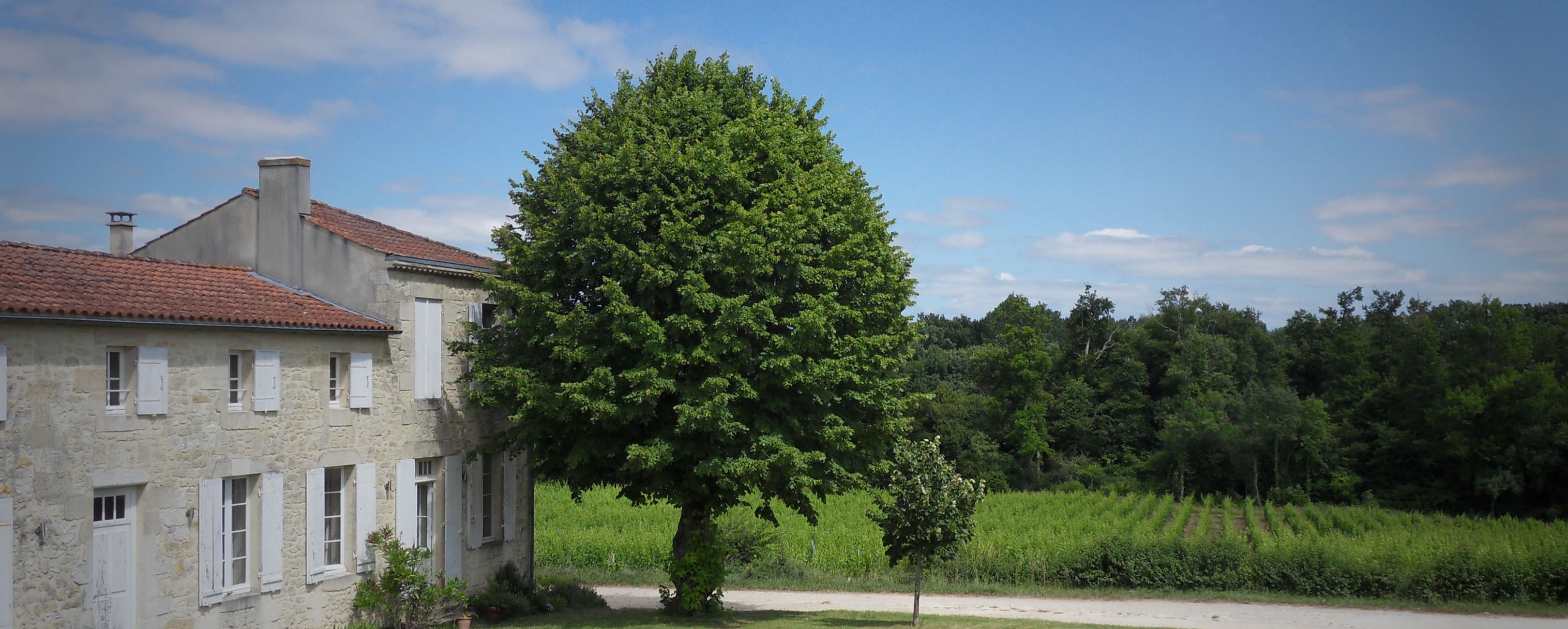 Château Puy Castéra - Haut-Médoc