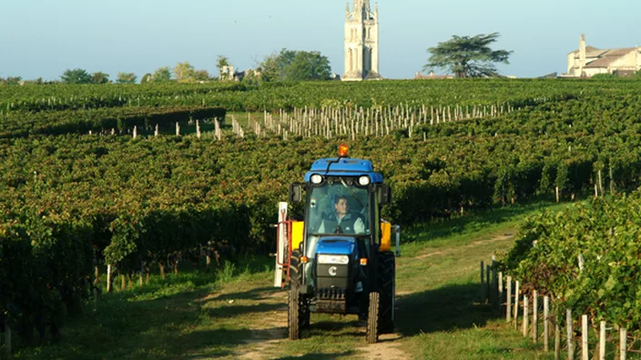 Château le Prieuré - Saint-Émilion