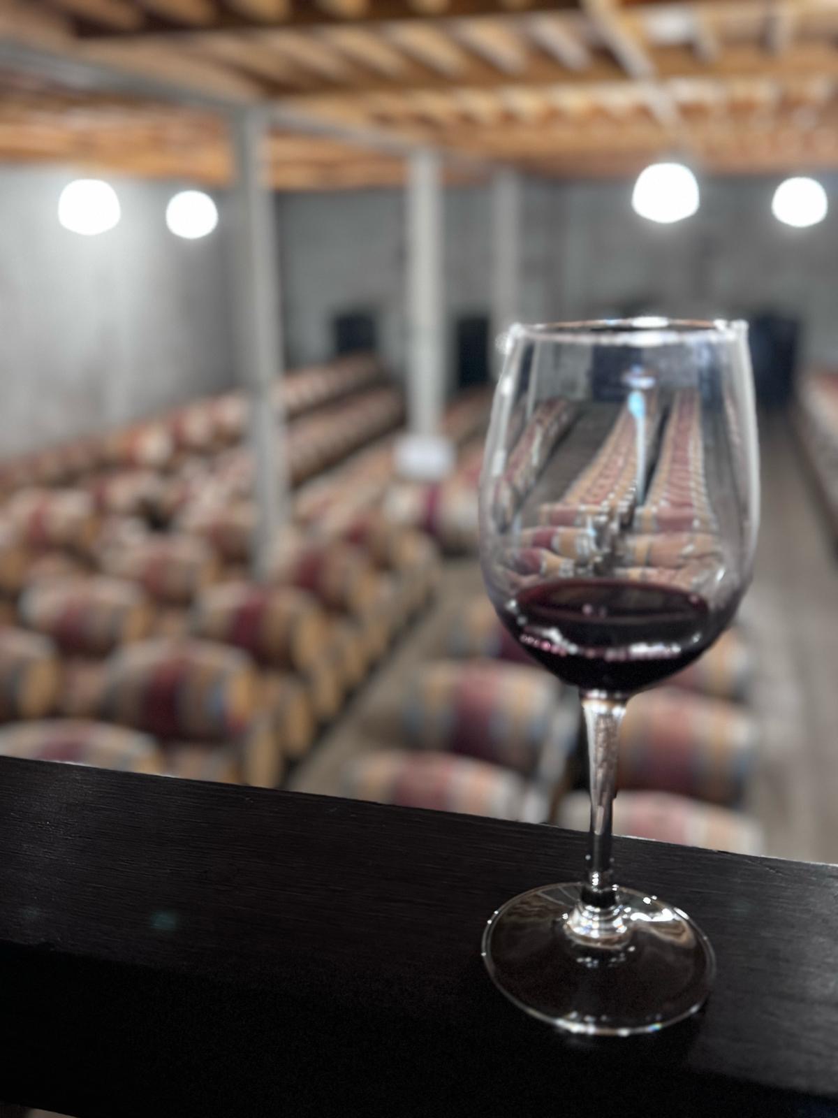 Château Dutruch Grand Poujeaux — photo 5