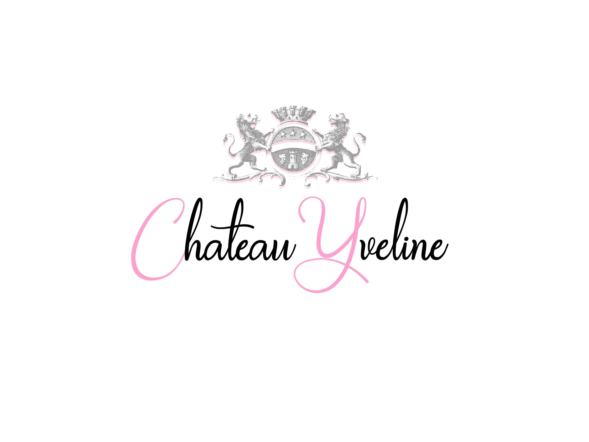 Château Yveline — photo 2