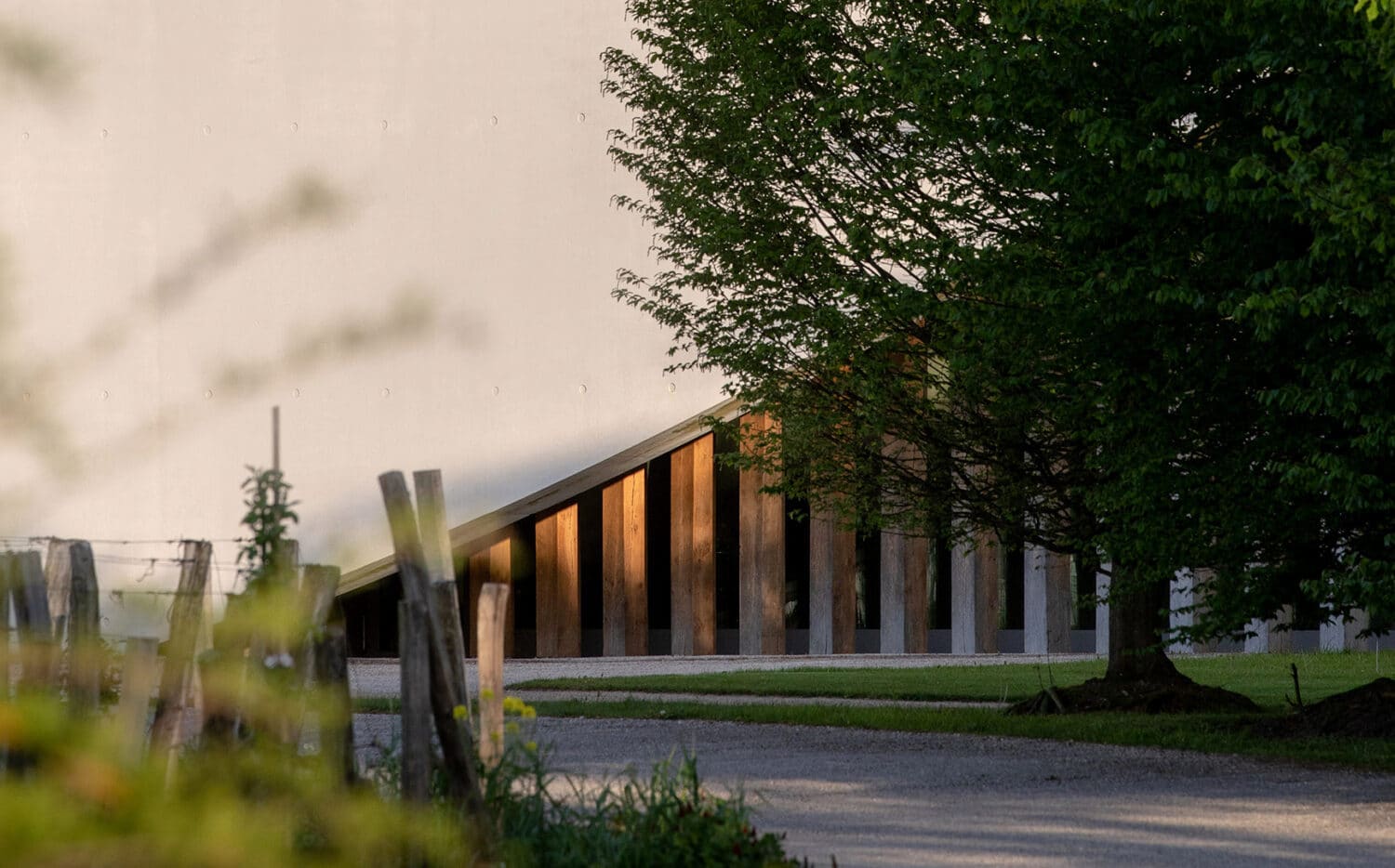 Château Cheval Blanc — photo 3