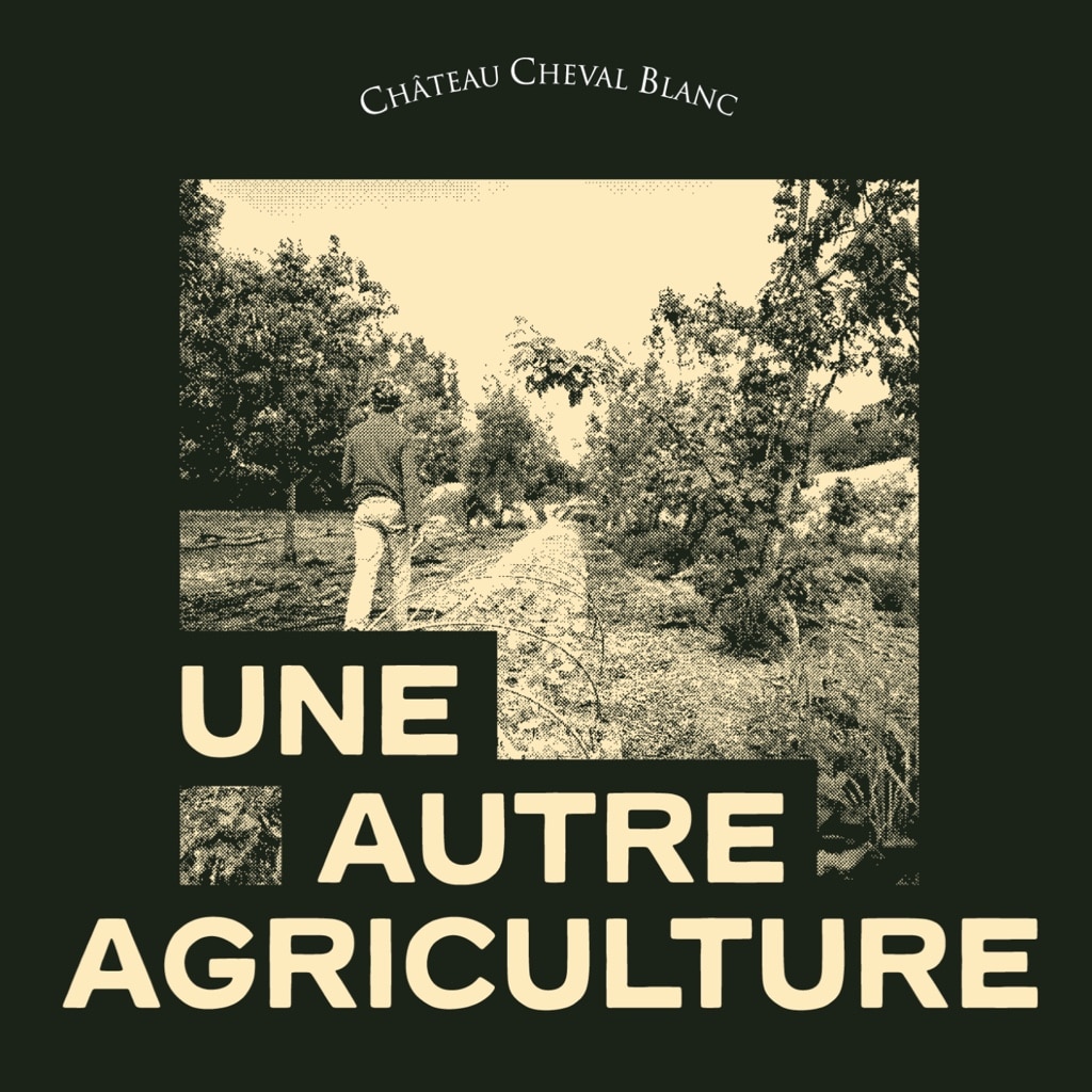 Château Cheval Blanc — photo 4