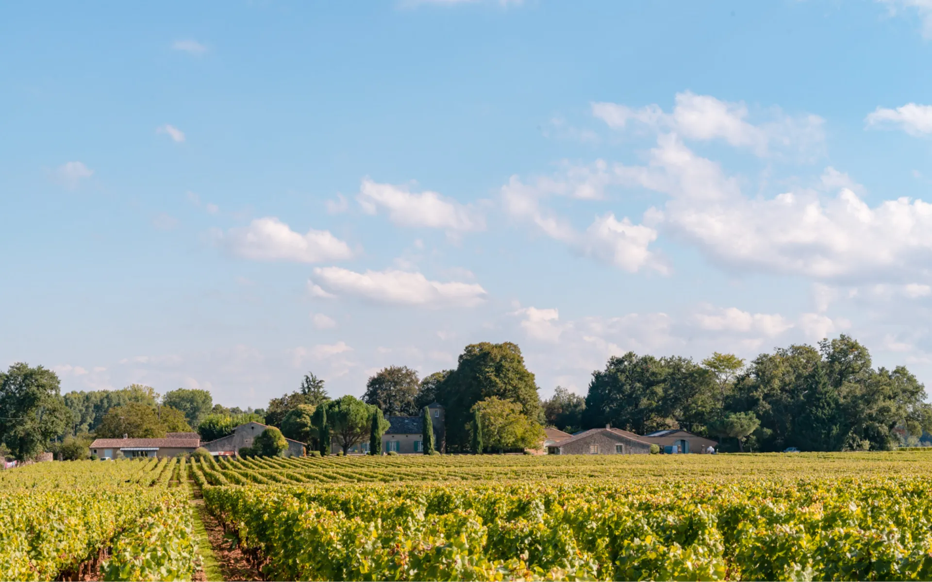 Château Doisy-Védrines - Sauternes