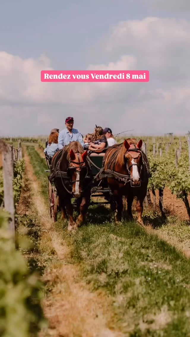 Vous êtes prêts ?  Rendez-vous ce Vendredi 8 mai💚 au Château de Bonhoste🍷pour la 22ème édition de notre célèbre Marché à la Ferme ! 🥳 📍Saint-Jean-de-Blaignac (33) ⏰ 10h à 18h (9h pour la randonnée pédestre) 🎟️ Entrée : gratuite et sans réservation  ☀️ En cas d’intempéries (🤞), le marché est entièrement couvert et maintenu sur site.  #MarchéÀLaFerme #bonhoste #chateaudebonhoste