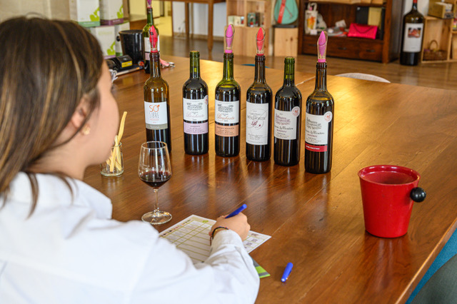 Wine tasting at Chateau de Bonhoste