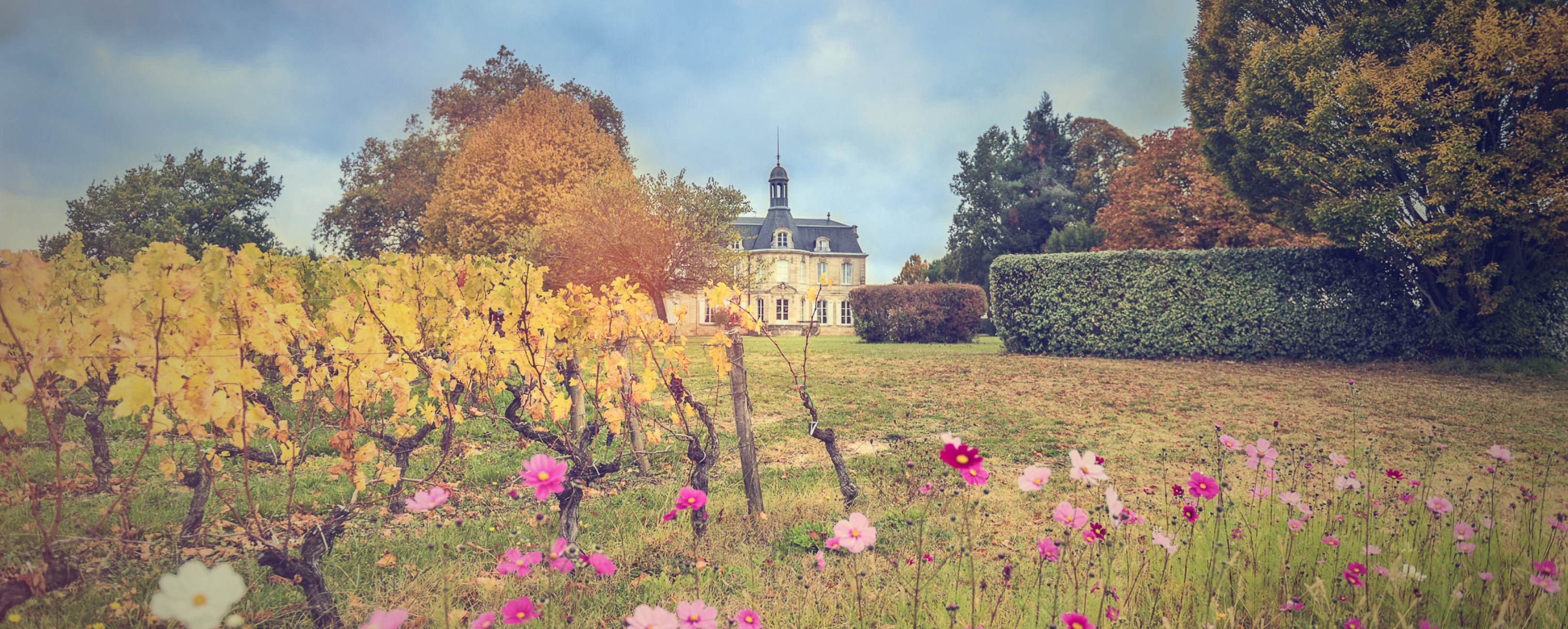 Château Fonréaud - Haut-Médoc