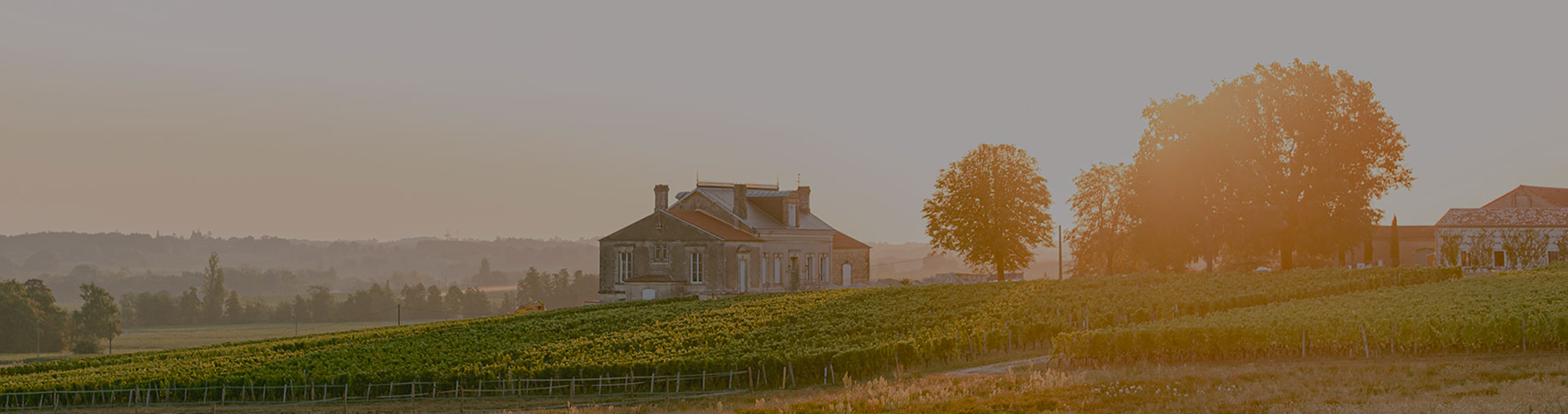 Château Petit Faurie de Soutard — photo 6